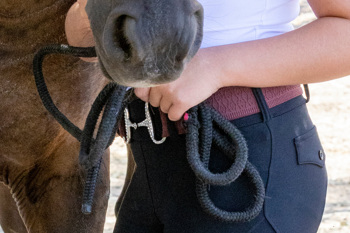 2” Snaffle bit belt with CZ crystals crystal rhinestones