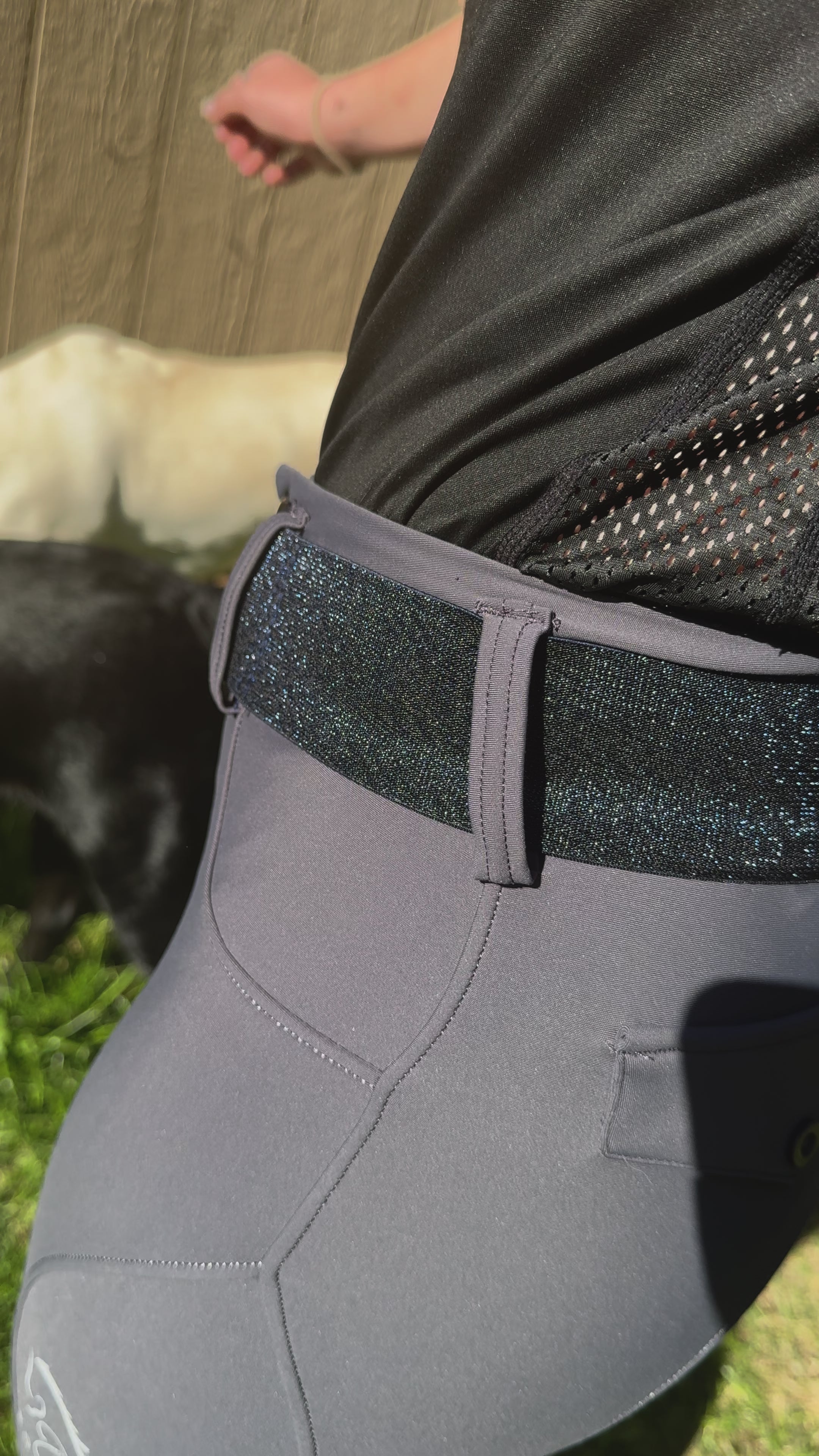 2” equestrian black gun metal Snaffel bit belt buckle with sparkle Navy belt